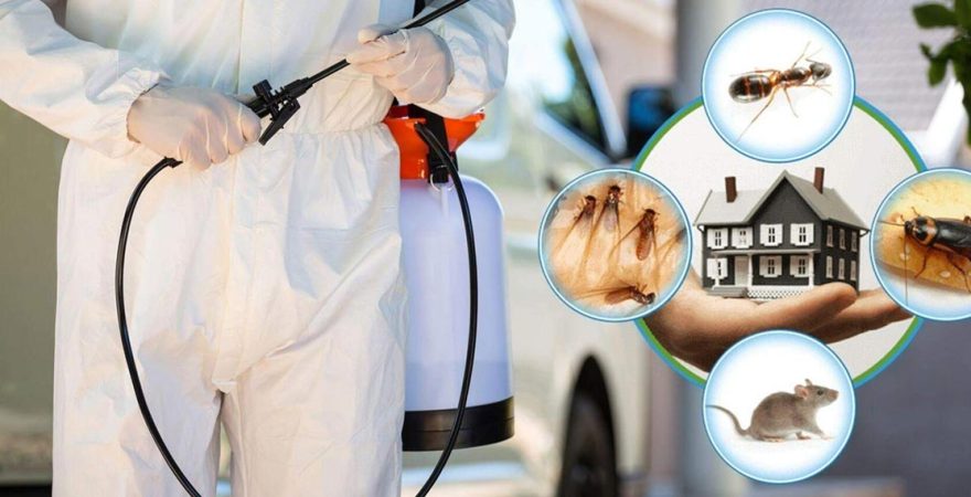 Kızılören Böcek İlaçlama