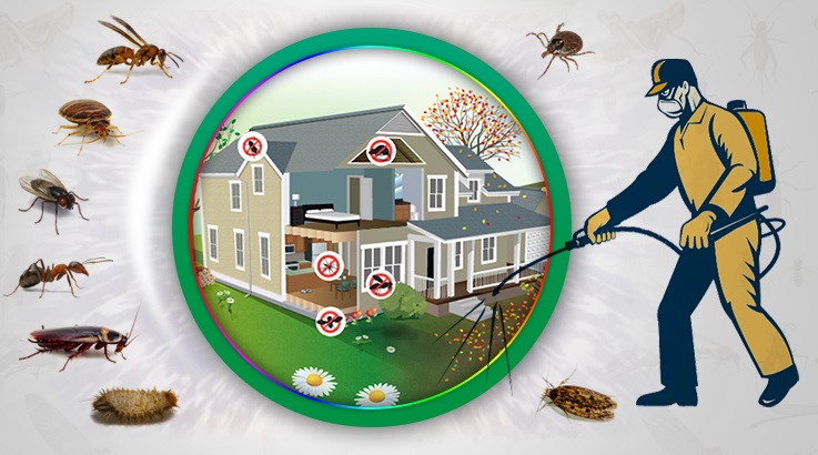 Kızılören Böcek İlaçlama