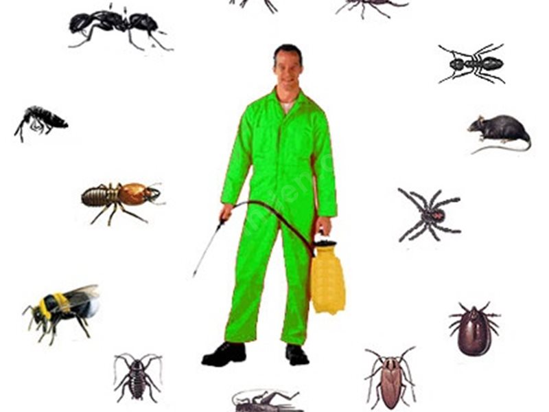 Kızılören Böcek İlaçlama